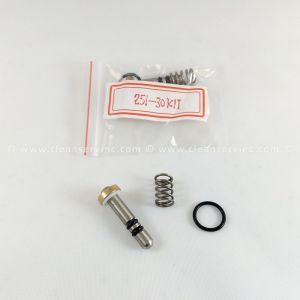 Repair Kit Kingston K-Valve