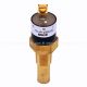 Switch Temperature 235 F Prochem 8.619-254.0