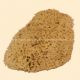 Natural Sea Sponge, 5.5-6 Inch Diameter