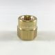 Strainer Adapter Cap, Brass 1/4 Inch MPT