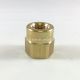 Strainer Adapter Cap, Brass 1/4 Inch MPT