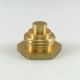 Cap Brass Hydramaster Valve