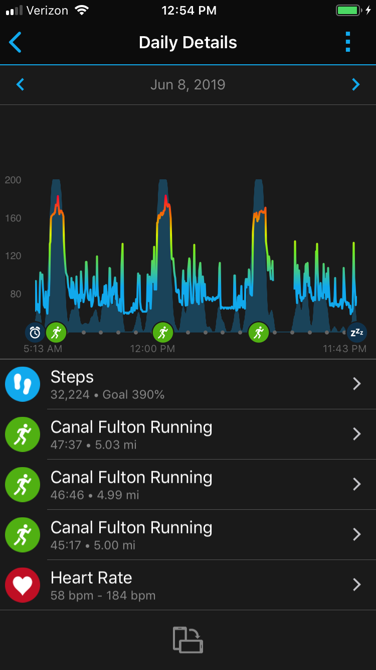 garmin2